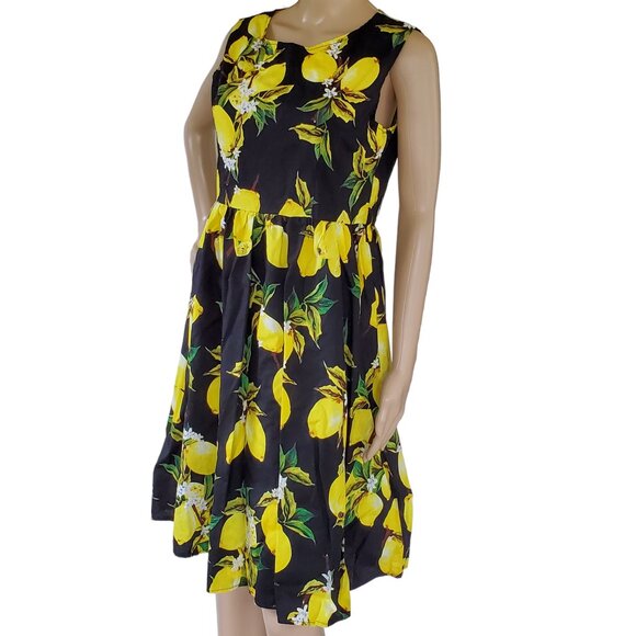 Tropical A Line Dress Women's M Sleeveless Summer Lemon Back Zip Knee Length - Picture 3 of 15